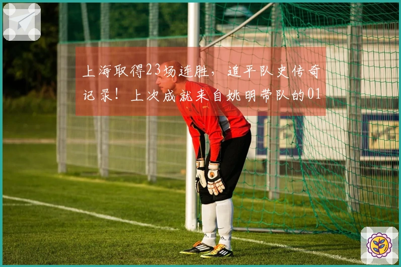 上海取得23场连胜,追平队史传奇记录!上次成就来自姚明带队的01-02赛季冠军之旅